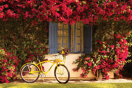 La Quinta Bicycle